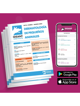 Suscripción Revista Dermatología (Digital) - Anual