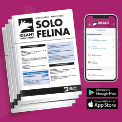 Suscripción Solo Felina (APP) - Anual