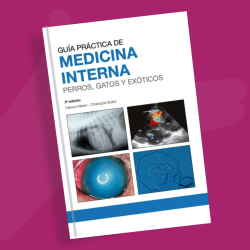 Guía práctica de Medicina Interna perros, gatos y exóticos (5ª Edición)