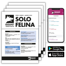 Suscripción Solo Felina (APP) - Anual