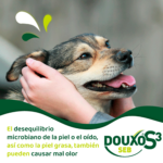 Post 30.06.2023 Douxo-S3_junio_adaptacion_huele-mal_05