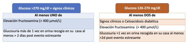 13_diagnóstico_DM