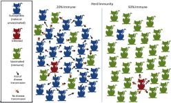 15_herd_immunity