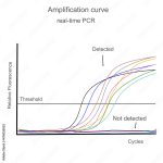 18 - Curva estandar de PCR cuantitativa o a tiempo real, para la detección de ADN a partir de la transferencia de energia de resonancia fluorescente con sondas de hibridación.