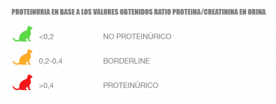 4.1.PROTEINURIA UPC