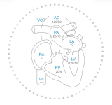 6 - Fisiopatologia