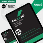 Clincirvet