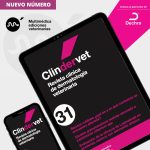 Clindervet