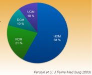 Distribución en porcentaje de las diferentes CM felinas