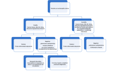 Figura 10. Plan de trabajo en paciente con EC