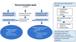 Figura 12 Abordaje diagnóstico y manejo del perro con diarrea hemorrágica aguda