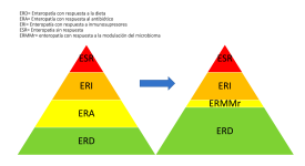 Figura 13 ULTIMA DEFINITIVA