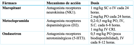 Figura 15