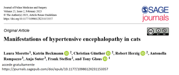 Figura 4 Uno de los últimos artículos que muestra la relación entre la salud cerebral y la HT en gatos