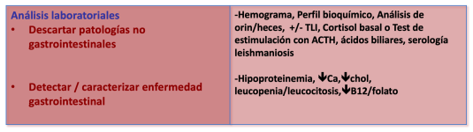 Figura 5 Pruebas laboratoriales en pacientes son signos digestivos