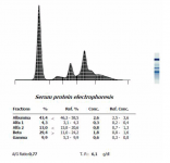 Figura 8. Proteinograma