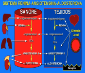 Imagen 11