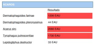 Imagen 14