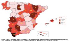 Mapa prevalencia Dirofilaria immitis 2021