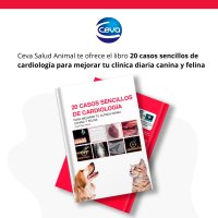 Whats-Casos-Ceva