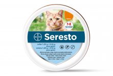 seresto-gatos_0_0